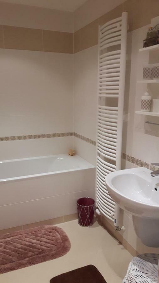 Prostorny 3 Pokojovy Apartman S Dvema Terasami プラハ エクステリア 写真